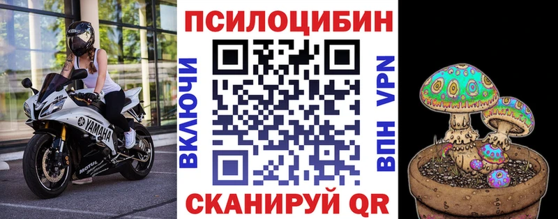 Галлюциногенные грибы Psilocybine cubensis Артёмовск